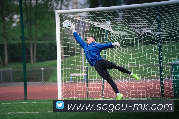 MK体育APP 高清赛事图